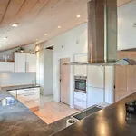Pet Friendly In With Kitchen * Romo
